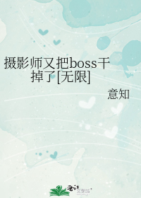 摄影师又把boss干掉了[无限]