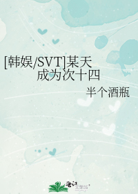 [韩娱/SVT]某天成为次十四