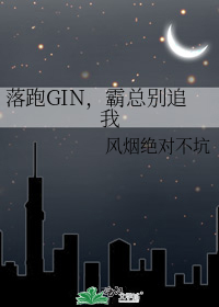 落跑GIN,霸总别追我