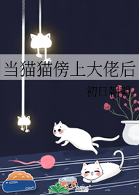 当猫猫傍上大佬后