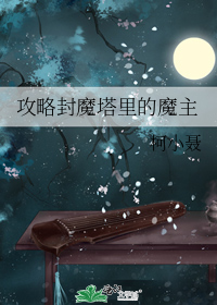 攻略封魔塔里的魔主